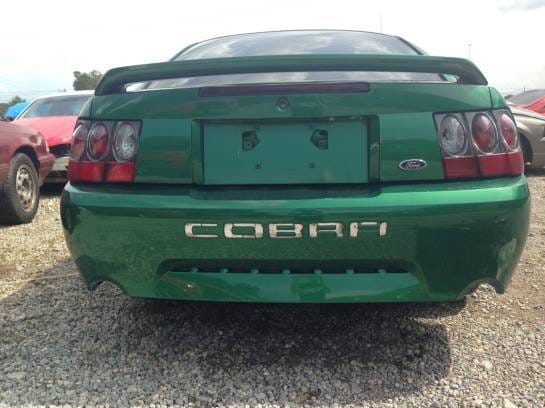1999 Ford Mustang Cobra  thumbnail 4