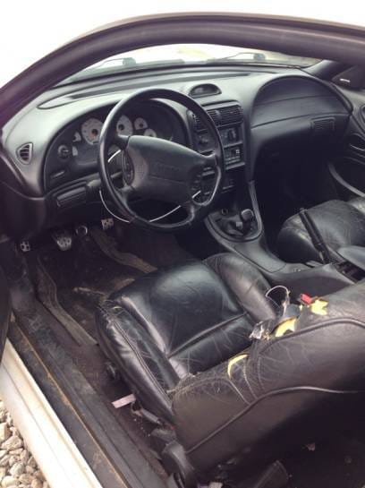 1996 Ford Mustang Cobra thumbnail 5