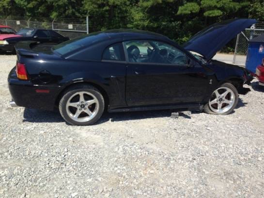 2001 Ford Mustang Cobra  thumbnail 2