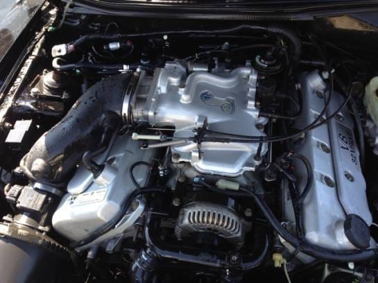 2001 Ford Mustang Cobra  thumbnail 7