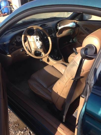 1997 Ford Mustang Cobra thumbnail 5