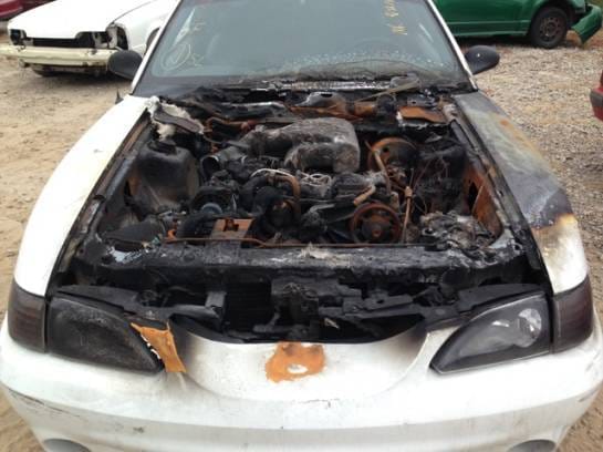 1994 Ford Mustang Cobra thumbnail 8
