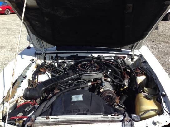 1986 Ford Mustang LX Convertible  thumbnail 10