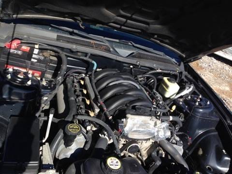 2005 Ford Mustang GT thumbnail 11