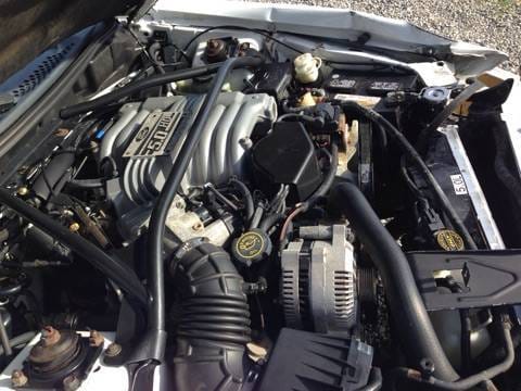 1996 Ford Mustang GT Convertible  thumbnail 10