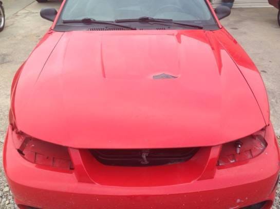 2001 Ford Mustang Cobra  thumbnail 4