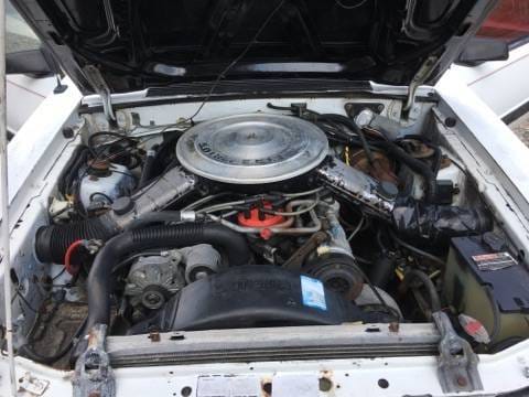 1985 Ford Mustang LX Convertible  thumbnail 12