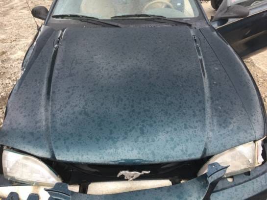 1994 Ford Mustang Green thumbnail 3