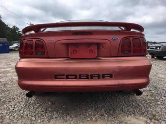 1998 Ford Mustang Cobra Red  thumbnail 2