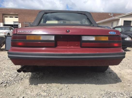 1983 Ford Mustang Convertible thumbnail 3