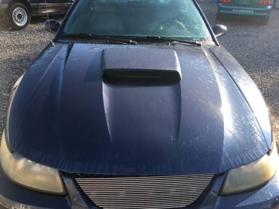 2001 Ford Mustang GT Blue  thumbnail 3