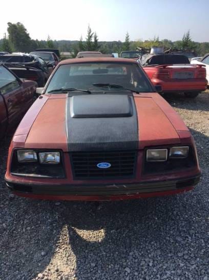 1983 Ford Mustang GT Hatch thumbnail 3