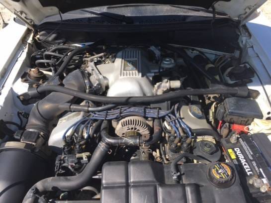 1996 Ford Mustang Cobra  thumbnail 12