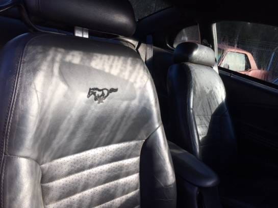 2001 Ford Mustang GT Black  thumbnail 8