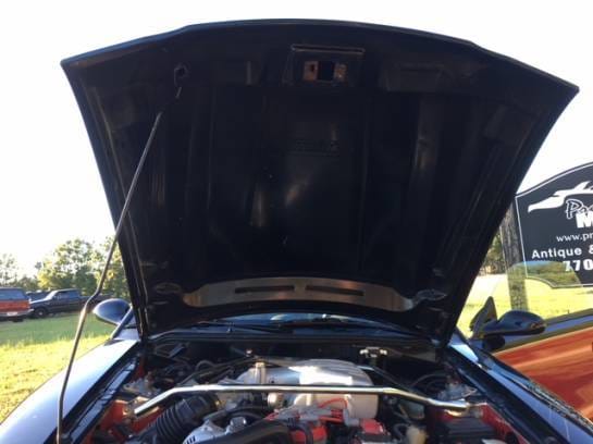 1995 Ford Mustang Cobra  thumbnail 8