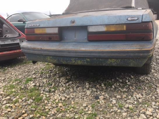 1983 Ford Mustang Convertible  thumbnail 4