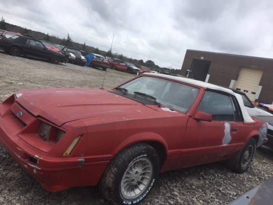 1985 Ford Mustang Convertible 