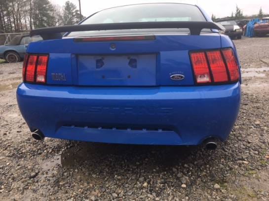 2003 Ford Mustang Mach 1 thumbnail 4