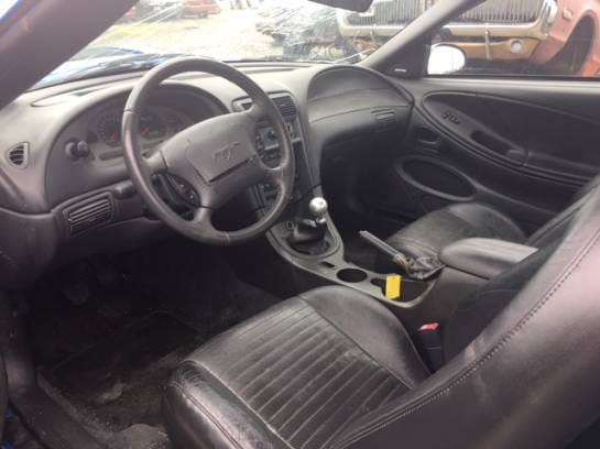 2003 Ford Mustang Mach 1 thumbnail 5