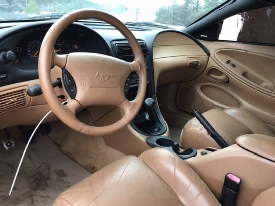 1998 Ford Mustang GT Convertible  thumbnail 5