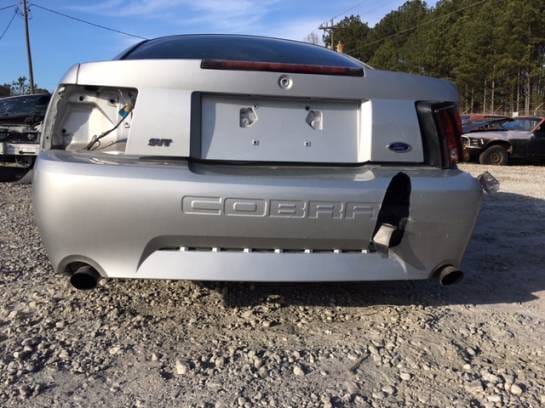2001 Ford Mustang Cobra  thumbnail 3