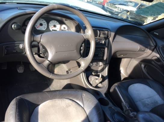 2001 Ford Mustang Cobra  thumbnail 8