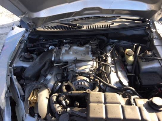 2001 Ford Mustang Cobra  thumbnail 9