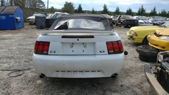 1999 Cobra Mustang Convertible  thumbnail 3