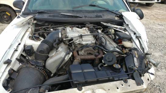 1999 Cobra Mustang Convertible  thumbnail 4