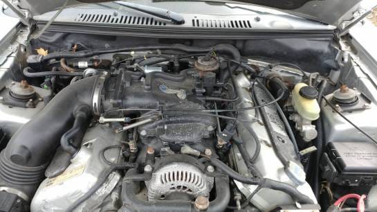 2001 Ford Mustang Cobra thumbnail 4