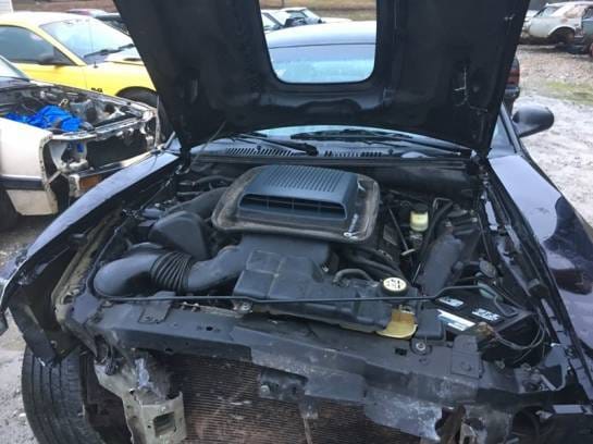 2003 Ford Mustang Mach 1 - Black thumbnail 5