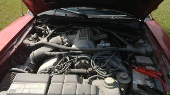 1996 Ford Mustang Cobra SVT Convertible thumbnail 6
