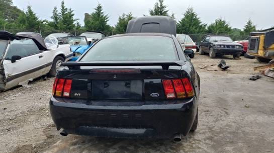 2001 Ford Mustang Cobra SVT Coupe thumbnail 2
