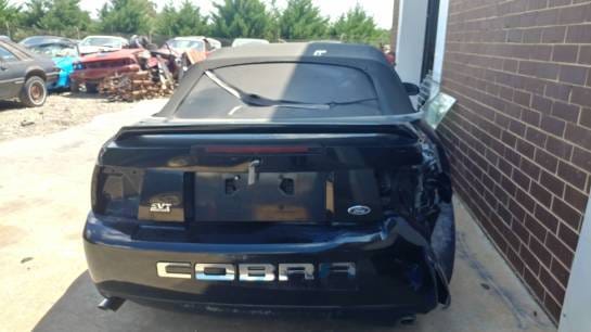 1999 Cobra Mustang Convertible - Black thumbnail 4