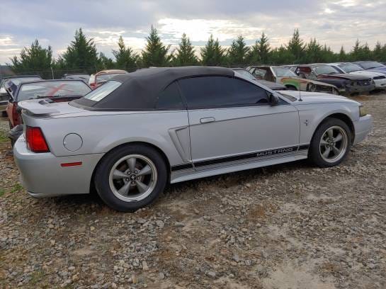 2002 Ford Mustang Convertible thumbnail 3
