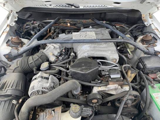 1995 Ford Mustang 5.0 Convertible  thumbnail 8