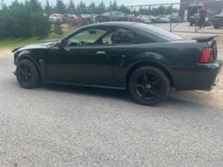 2001 FORD MUSTANG BULLITT 4.6 thumbnail 2