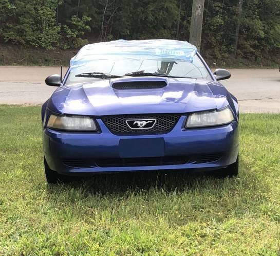 2004 Ford Mustang V6 thumbnail 4