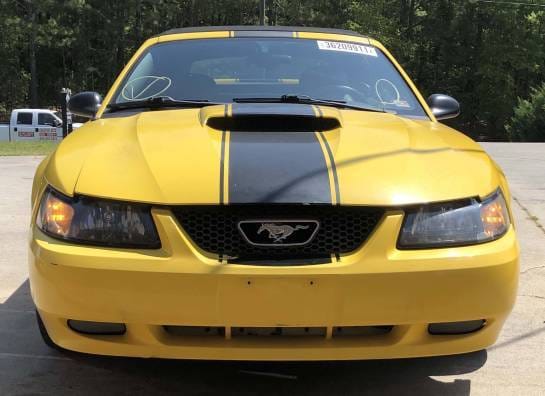2004 Ford Mustang GT Convertible thumbnail 2