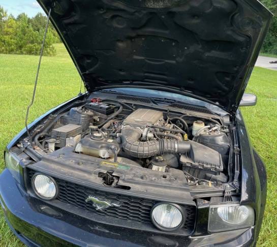 2007 Ford Mustang GT thumbnail 8