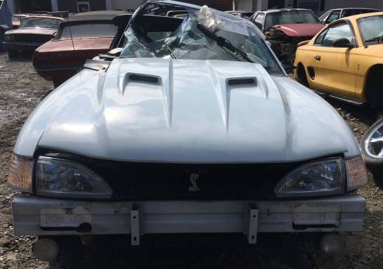 1997 Ford Mustang SVT Cobra thumbnail 4
