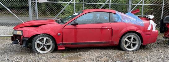 2004 Ford Mustang Mach 1 thumbnail 2