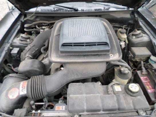 2001 Mach-1 Coupe thumbnail 5