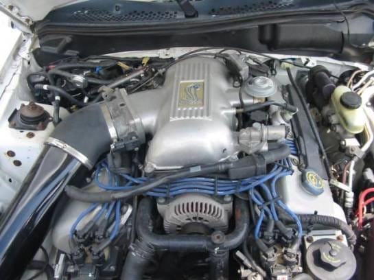 1996 Ford Mustang COBRA 4.6 4V T-45 Five Speed - White thumbnail 4
