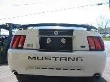 2004 Mach 1  thumbnail 3
