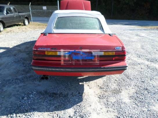 1984 Ford Mustang Convertible LOW MILEAGE thumbnail 3