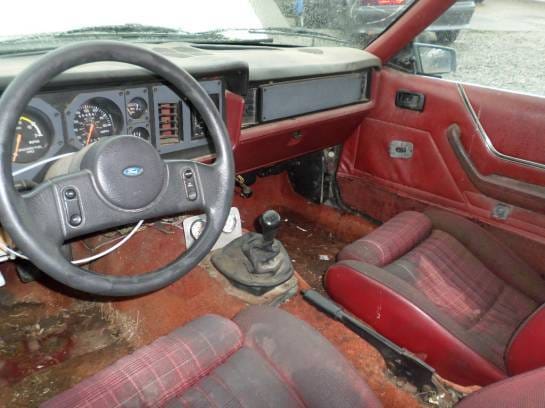 1986 Ford Mustang 5.0 T5  thumbnail 5