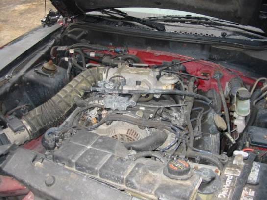 94-98 Ford Mustang Coupe 4.6 Automatic - Black thumbnail 5
