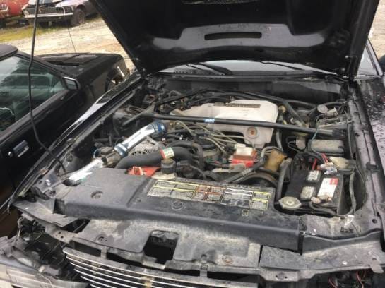 1994 Ford Mustang Cobra thumbnail 5