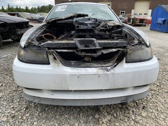 2004 Ford Mustang Mach 1 Coupe thumbnail 3